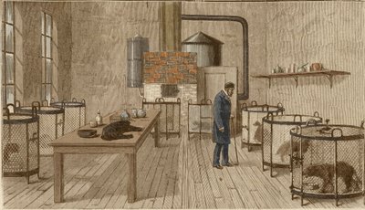 Dogs in Cages Inside Laboratory of Louis Pasteur by Charles Paul Renouard