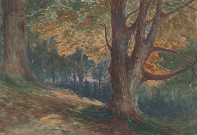 Trees on a Hill in a Wooded Landscape by Charles Reginald Aston