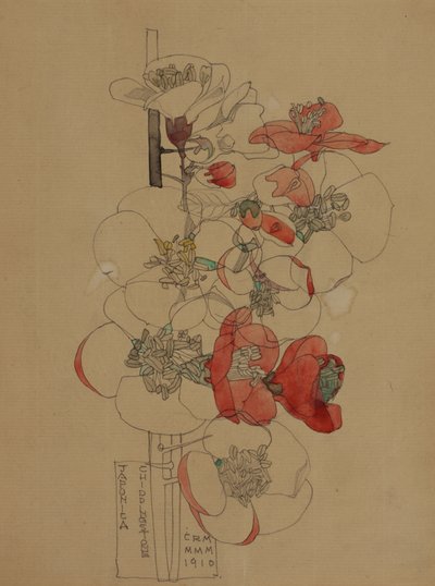 Japonica by Charles Rennie Mackintosh