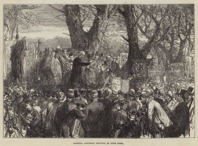 Hospital Saturday Meeting in Hyde Park by Sir John Charles Robinson
