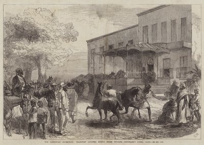 The Abyssinian Expedition, Transport Officers buying Mules opposite Shepheard