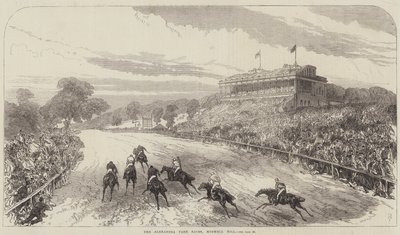 The Alexandra Park Races, Muswell Hill by Sir John Charles Robinson