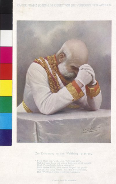 Emperor Franz Joseph I of Austria by Charles Scolik