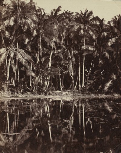 Tetiaroa - A Lagoon of the Paumotu by Charles Spitz