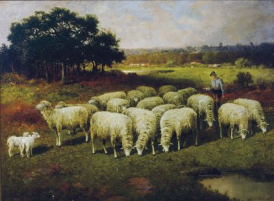 A Shepherd with His Sheep Out in the Field by Charles T. Phelan