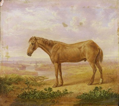 Old Billy, a Draught Horse, Aged 62 by Charles Towne