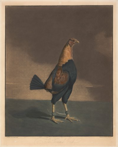 Cock Fighting [a pair]: 2. The Trimmed Cock by Charles Turner