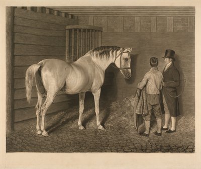The Wellesley Arabian by Charles Turner