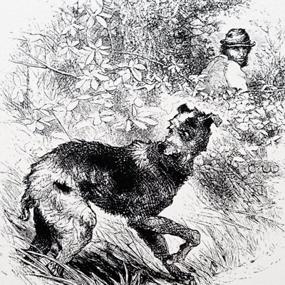 A poacher with his lurcher by Charles Whymper