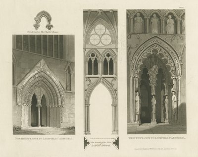 Lichfield Cathedral - West Entrance, North Entrance and Nave (engraving) by Charles Wild