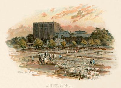 Norwich Castle by Charles Wilkinson