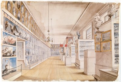 The Long Room, Interior of Front Room in Peale