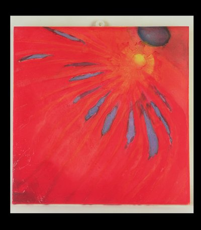 Fan Fire by Charlotte Johnstone