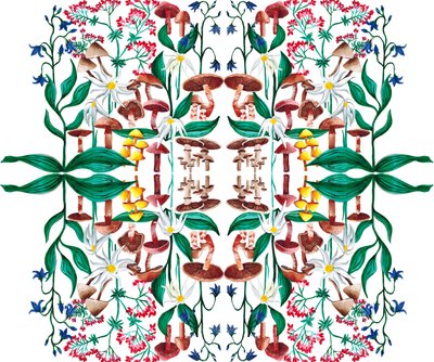 Wild Plants by Charlotte Orr