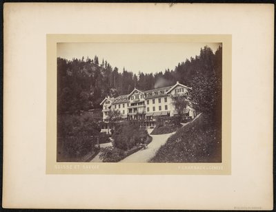 Hotel du Giessbach by Charnaux Frères and Cie.