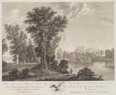 View of the Palace in Gatchina from the Park by Chessky