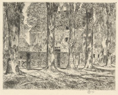 Village Elms, 1923 by Childe Hassam