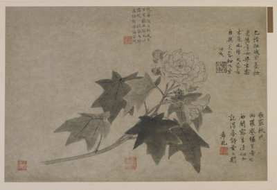 A Branch of Wood Peony, Possibly Qing Dynasty by Chinese School