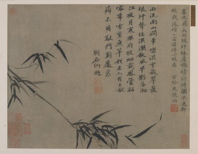 A Spray of Bamboo, Possibly Qing Dynasty by Chinese School