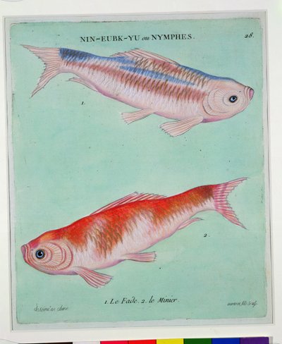 Le Fade, Le Minier, engraved by Francois Nicholas Martinet by Chinese School