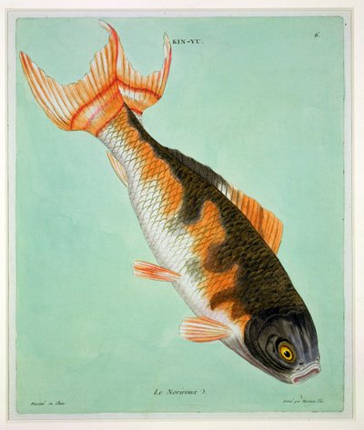 Le Noriroux, engraved by Francois Nicholas Martinet by Chinese School