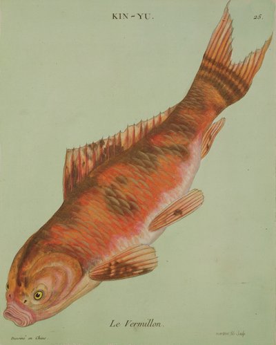 Le Vermillon, engraved by Francois Nicholas Martinet by Chinese School