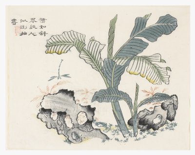 Mustard Seed Garden by Chinese School