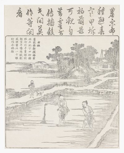 Sowing the rice in a seed bed, 18th century by Chinese School