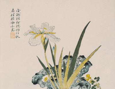The Garden as Big as a Grain of Mustard, 17th-18th century by Chinese School