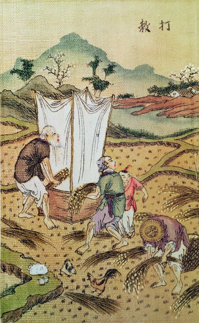 The Story of Rice by Chinese School