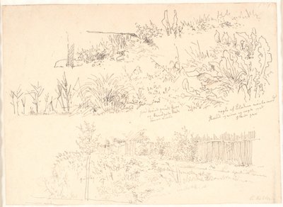 The Path Along the Lakes. Various Plant Studies and Notes Regarding Them by Christen Købke