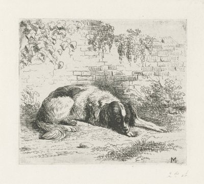 Lying Dog in Front of a Wall by Christiaan Wilhelmus Moorrees