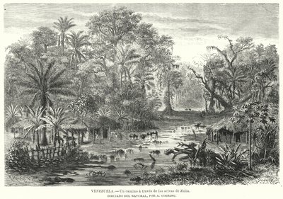 Path through the Jungles of Zulia, Venezuela by Christian Anton Goering