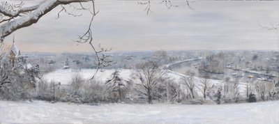 White Diamonds Richmond Hill Snow, 2015 by Christian Furr