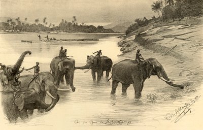 Elephants on the banks of the Mahaweli River, Ceylon by Christian Wilhelm Allers