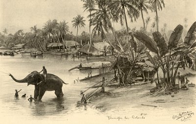 Washing an elephant in the river, Colombo, Ceylon by Christian Wilhelm Allers
