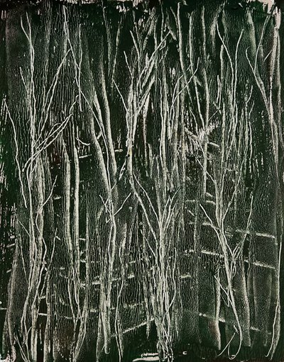 Green Grass by Christina Misuro