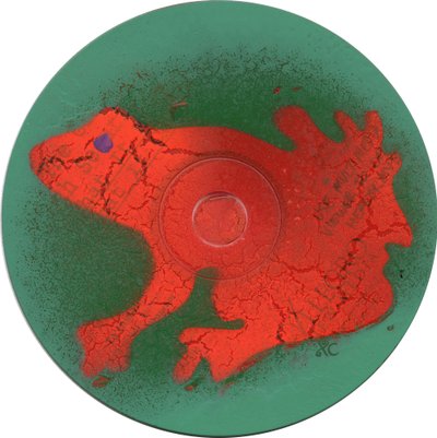 Frog by Christina Saj