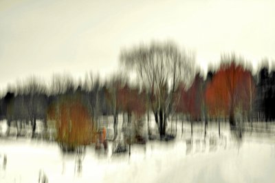 Abstract Winter Forest by Christina Sillen