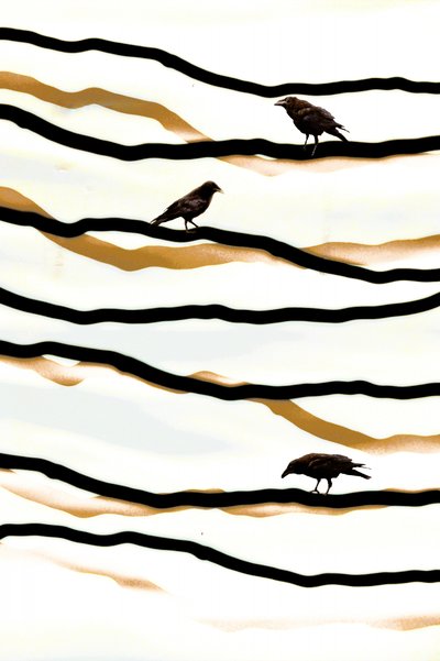 Birds on Golden Waves by Christina Sillen