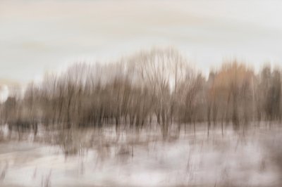 Blurred Forest Reflection by Christina Sillen
