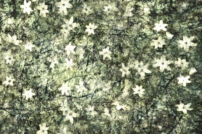 Delicate Garden Blooms by Christina Sillen