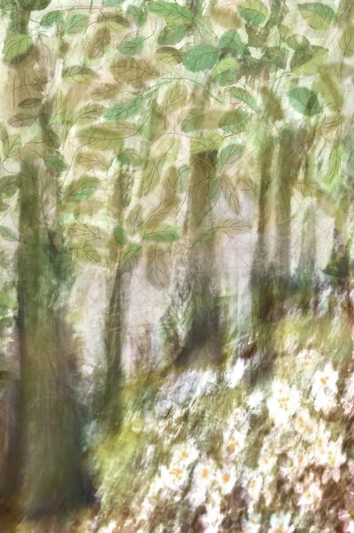 Dreamy Forest Flowers by Christina Sillen