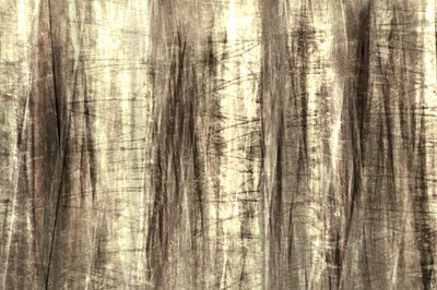 Dreamy Forest Lines by Christina Sillen