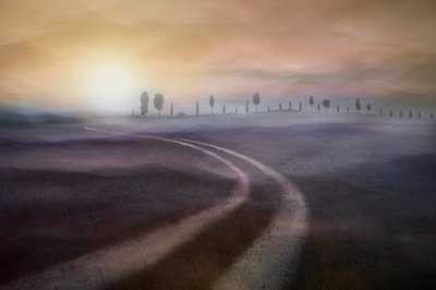 Dreamy Misty Country Road by Christina Sillen