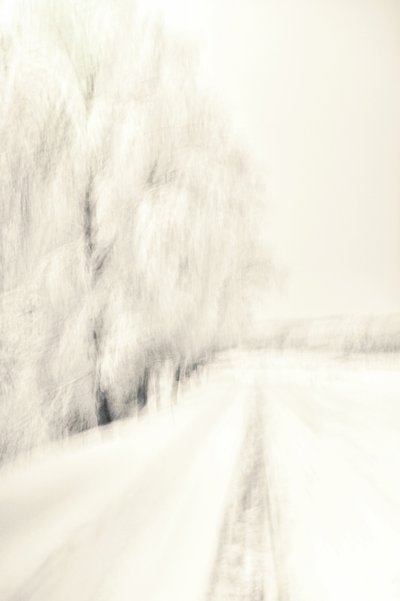 Dreamy Winter Path by Christina Sillen