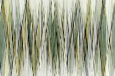 Earthy Geometric Lines by Christina Sillen