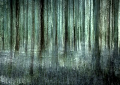 Ethereal Forest Blur by Christina Sillen