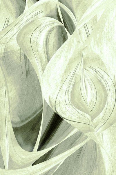 Ethereal Organic Flow by Christina Sillen