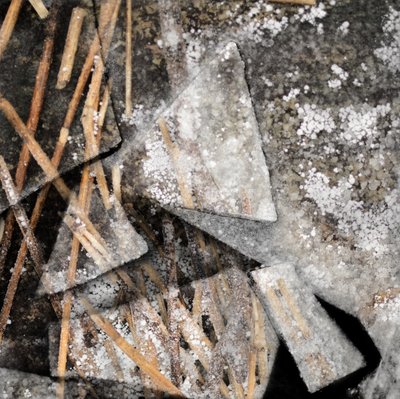 Frozen Reeds and Ice by Christina Sillen